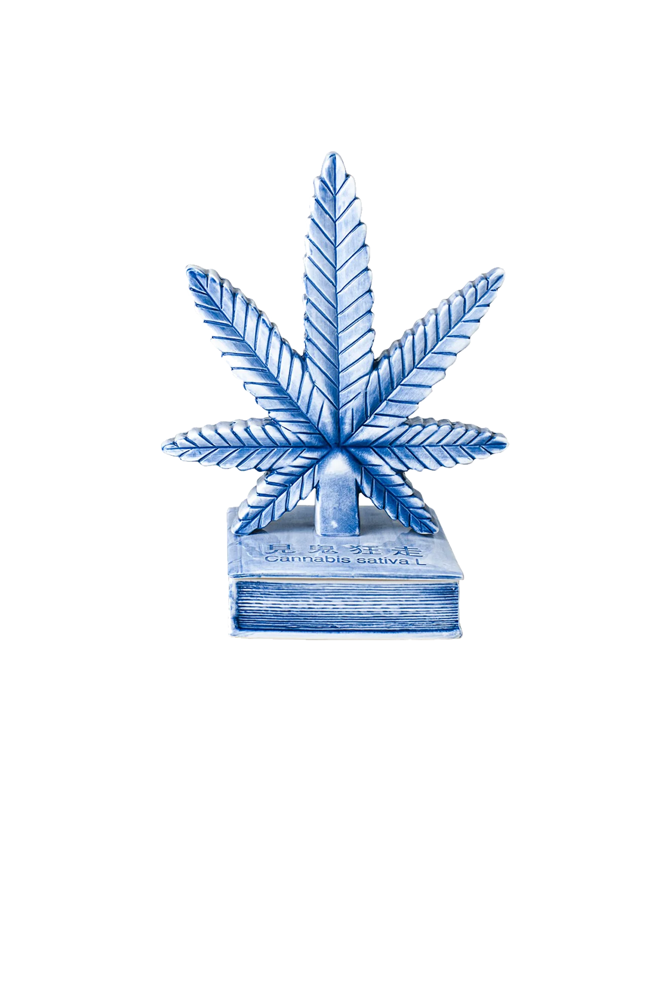 Miniatura 1