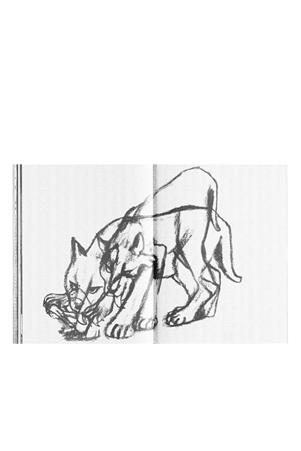 Immagine prodotto 9
