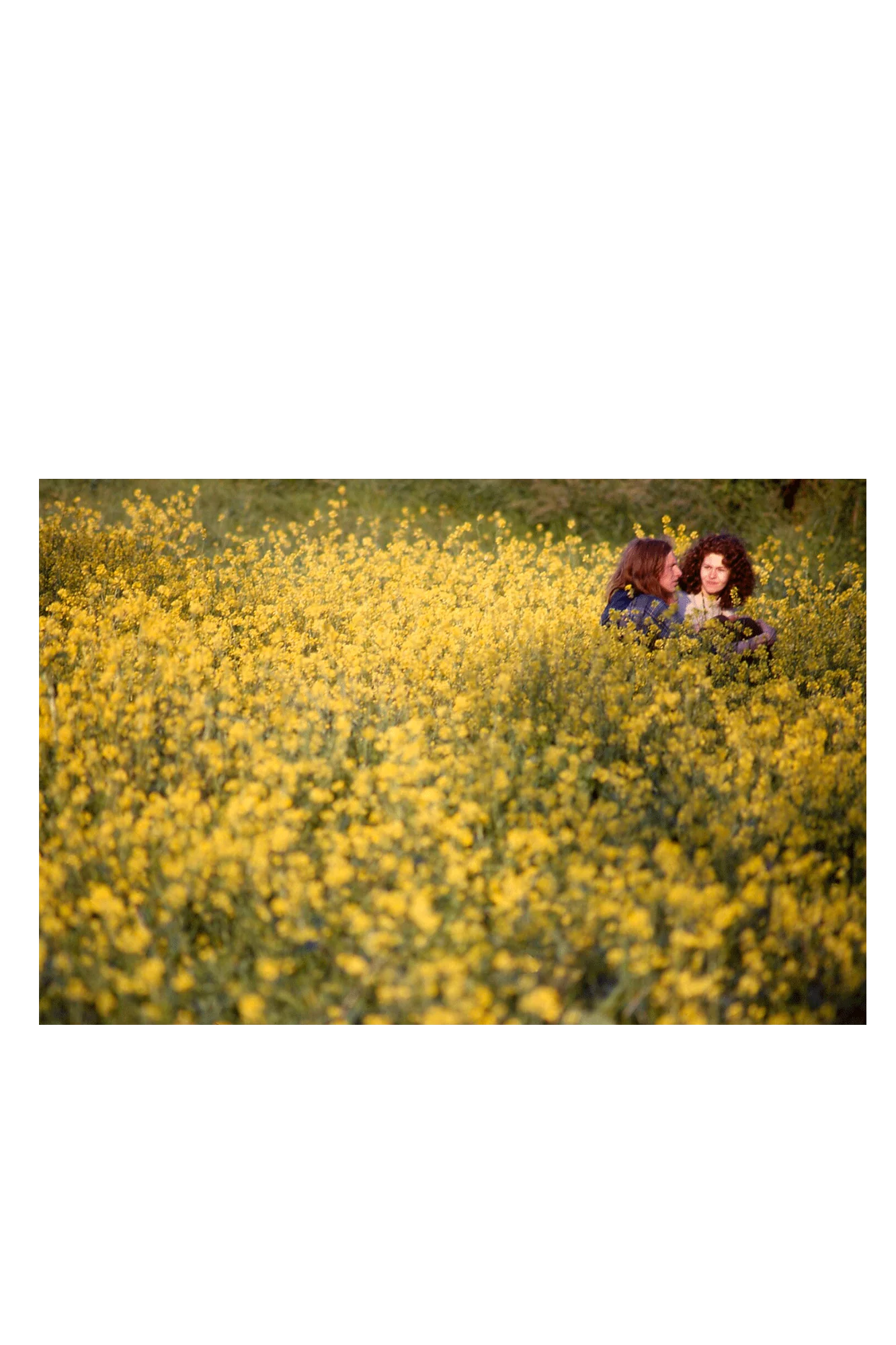 Immagine prodotto 4