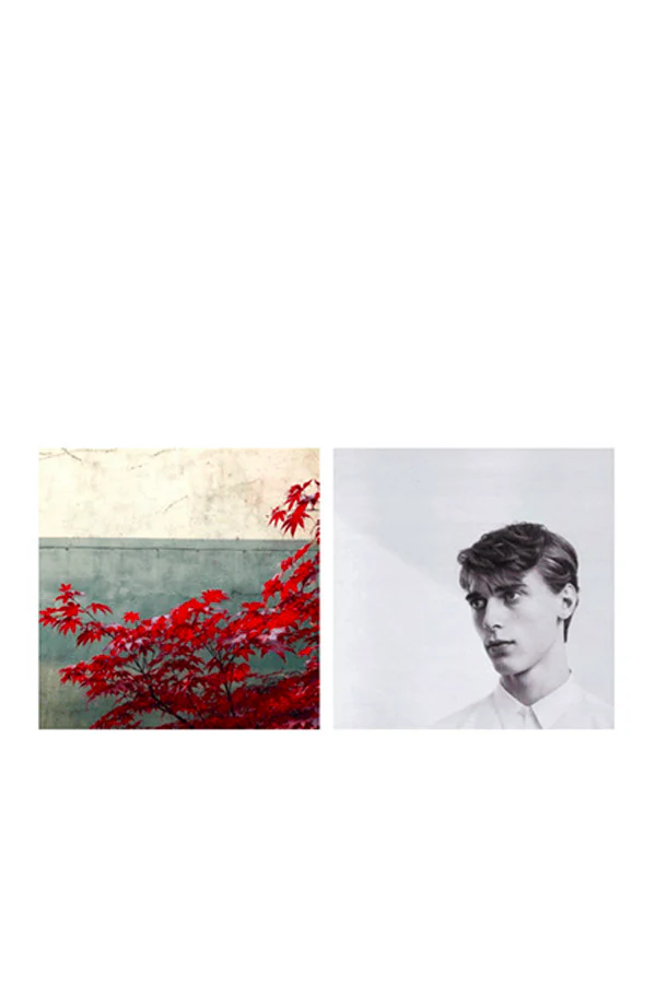 Immagine prodotto 3